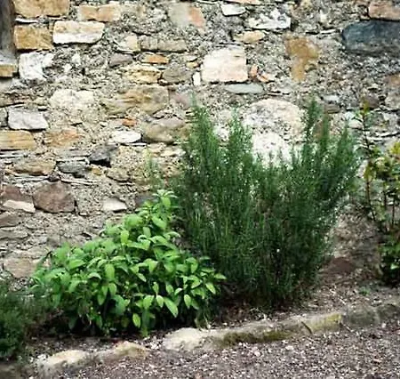 Al Buondi בית נופש Vezzola